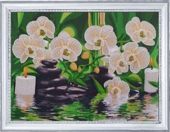 327 грн   166 Белые орхидеи Набор для вышивки бисером