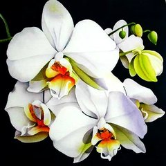 730 грн  Алмазная мозаика КДИ-0505 Набор алмазной вышивки Белая орхидея-3