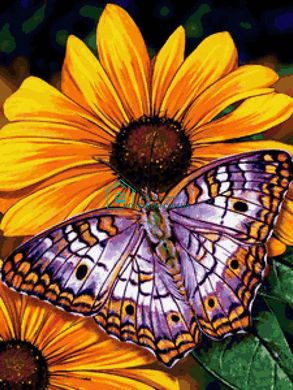 640 грн  Алмазная мозаика DMP-177 Набор алмазной живописи на подрамнике Бабочка на цветах