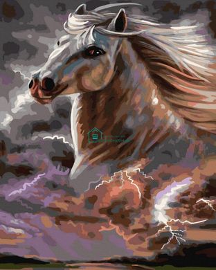 279 грн  Живопись по номерам BK-GX36495 Картина раскраска Свободный конь 40 х 50 см