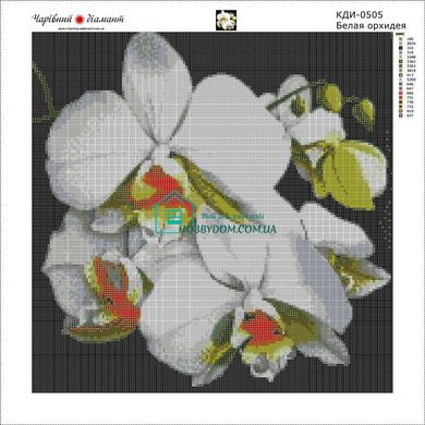 730 грн  Діамантова мозаїка КДИ-0505 Набір діамантової вишивки Біла орхідея-3
