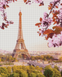 АЛМР-052 Набор алмазной мозаики на подрамнике Париж - вишневый цвет, 40*50 см