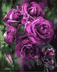 279 грн  Живопис за номерами BK-GX7922 Набір для малювання за номерами Пурпурові троянди