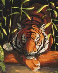 295 грн  Живопись по номерам 11618-AC Картина-раскраска по цифрам Бенгальский тигр