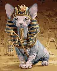 329 грн  Живопис за номерами BK-GX25222 Набір-розмальовка за номерами Кішка фараона