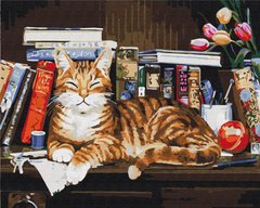 329 грн  Живопис за номерами BS4142 Набір для малювання картини за номерами Кіт на книжній полиці