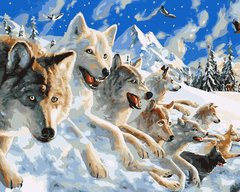 339 грн  Живопис за номерами BK-GX27424 Набір для малювання по номерам Снігові вовки