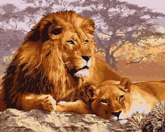 249 грн  Живопис за номерами BK-GX30214 Картина-розмальовка за номерами Сімейство левів