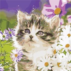 319 грн  Живопис за номерами AS0935 Набір для малювання по номерам Кіт в ромашках
