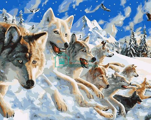 299 грн  Живопис за номерами BK-GX27424 Набір для малювання по номерам Снігові вовки