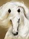 КДИ-0944 Набор алмазной вышивки Грация. Белая лошадь