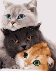 349 грн  Живопис за номерами PN4201 Картини за номерами Три коти