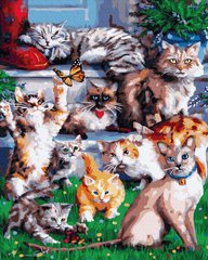 329 грн  Живопись по номерам BK-GX33767 Набор для рисования картины по номерам Домашние котики