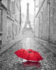339 грн  Живопис за номерами BK-GX23824 Набір для малювання по номерам Парижзька парасолька