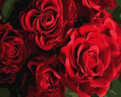 329 грн  Живопис за номерами BK-GX24563 Набір-розмальовка за номерами Бутони червоних троянд