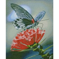 627 грн  Діамантова мозаїка Набір для творчості алмазна картина Метелик на квіточці, 40х50 см, D0035