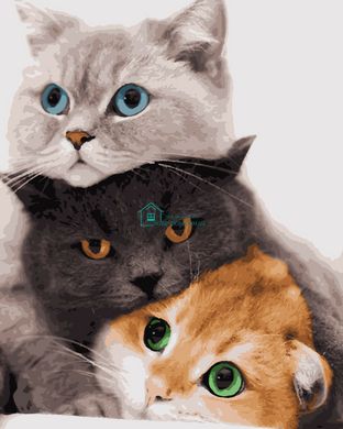 335 грн  Живопис за номерами PN4201 Картини за номерами Три коти