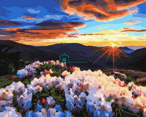 339 грн  Живопис за номерами BK-GX36556 Картина-розмальовка за номерами Схід сонця в горах