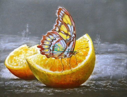 640 грн  Діамантова мозаїка DMP-180 Набір діамантового живопису на підрамнику Метелик на апельсині