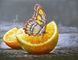 DMP-180 Набор алмазной живописи на подрамнике Бабочка на апельсине