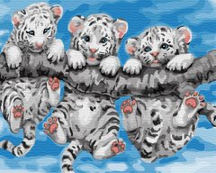 329 грн  Живопись по номерам BK-GX29308 Картина-раскраска по номерам Маленькие тигрята