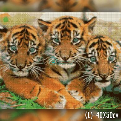 650 грн  Алмазная мозаика TWD20079 Набор алмазной вышивки Маленькие тигры