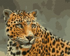 329 грн  Живопись по номерам BK-GX33731 Раскраска по номерам Леопард