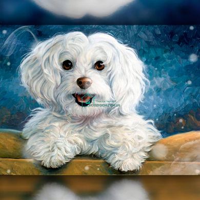 650 грн  Алмазная мозаика TWD20017 Набор алмазной вышивки Радостная собака