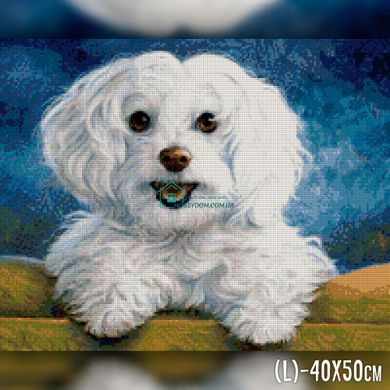 650 грн  Діамантова мозаїка TWD20017 Набір діамантової вишивки Радісна собака