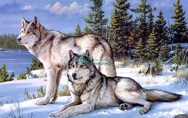 900 грн  Діамантова мозаїка DMP-276 Набір діамантового живопису на підрамнику Пара вовків