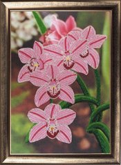 408 грн   208 Орхидеи Набор для вышивания бисером