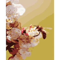 315 грн  Живопис за номерами Набір для розпису по номерах Бджола на квіточці,40х50 см, GS212