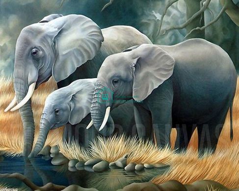 770 грн  Алмазная мозаика DM-189 Набор алмазной живописи Семья слонов