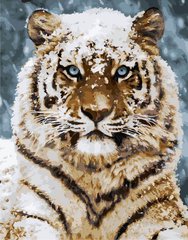 329 грн  Живопис за номерами KH4140 Картина-розмальовка Усурійський тигр