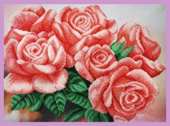 647 грн   P-293 Рожеві рози Набір для вишивання бісером
