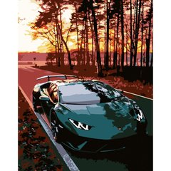 315 грн  Живопис за номерами Набір для розпису по номерах Lamborghini, 40х50 см , DY230