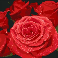 245 грн  Живопись по номерам KHO3089 Картина для рисования по номерам Красные розы