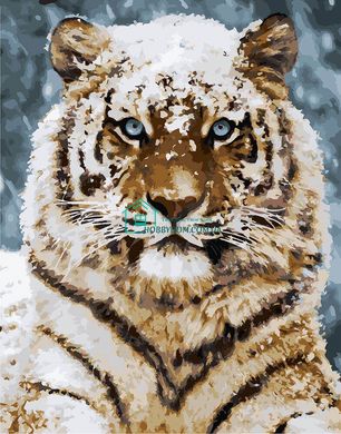 329 грн  Живопис за номерами KH4140 Картина-розмальовка Усурійський тигр