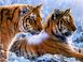 TN939 Набор алмазной мозаики на подрамнику Тигры в зимнем лесу
