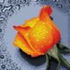 TT605 Набор алмазной мозаики 30х30см Роза оранжевая