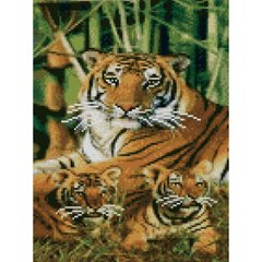 557 грн  Діамантова мозаїка Алмазна картина HX068 Тигри серед бамбука, розміром 30х40 см