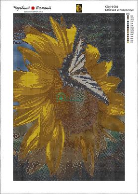 780 грн  Діамантова мозаїка КДИ-1081 Набір алмазної вишивки Метелик і соняшник