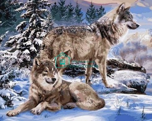 599 грн  Діамантова мозаїка TN1008 Набір діамантової мозаїки на підрамнику Пара вовків