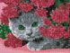 EJ931 Набор алмазной мозаики на подрамнике Кот в цветах