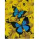 Алмазна картина HX183 Пара метеликів, розміром 30х40 см