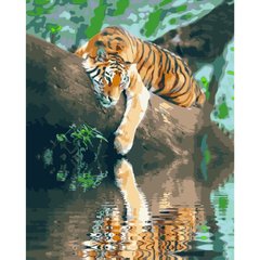 315 грн  Живопись по номерам Набір для розпису по номерах Відпочинок тигра,40х50 см, GS215