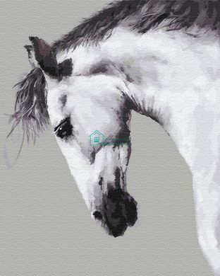 329 грн  Живопись по номерам BK-GX25707 Набор-раскраска по номерам Белая лошадь