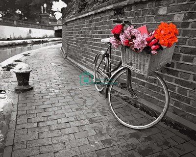 459 грн  Живопись по номерам VP695 Раскраска по номерам Велосипед с цветочной корзиной Худ Асаф Франк
