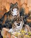 TN1012 Набор алмазной мозаики на подрамнике Волк и волчица