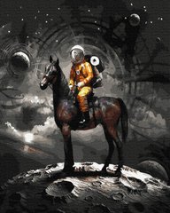 279 грн  Живопись по номерам BK-GX28896 Набор живописи по номерам В космос на коне